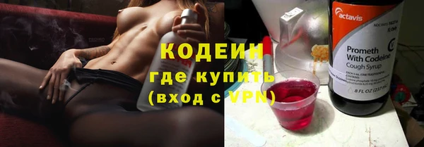 стаф Киренск