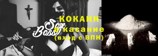 стаф Киренск